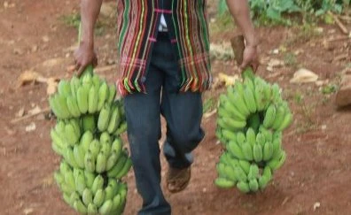 Quà Tết - đôi điều suy ngẫm