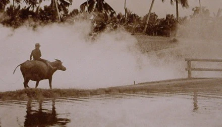 Dốc sương mù