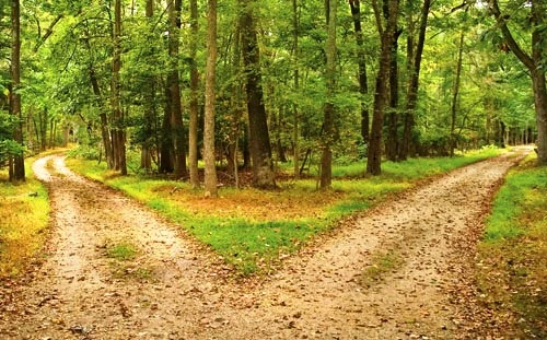 Khó "vẹn cả đôi đường"