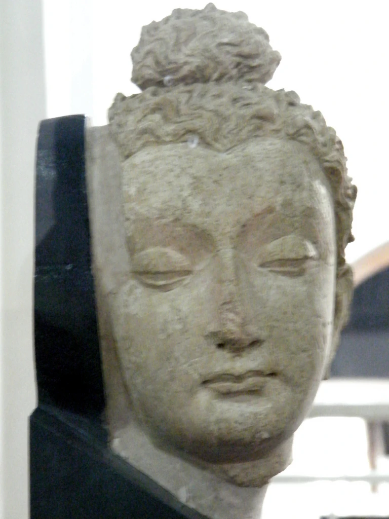 Nhập từ Tam muội phóng sinh