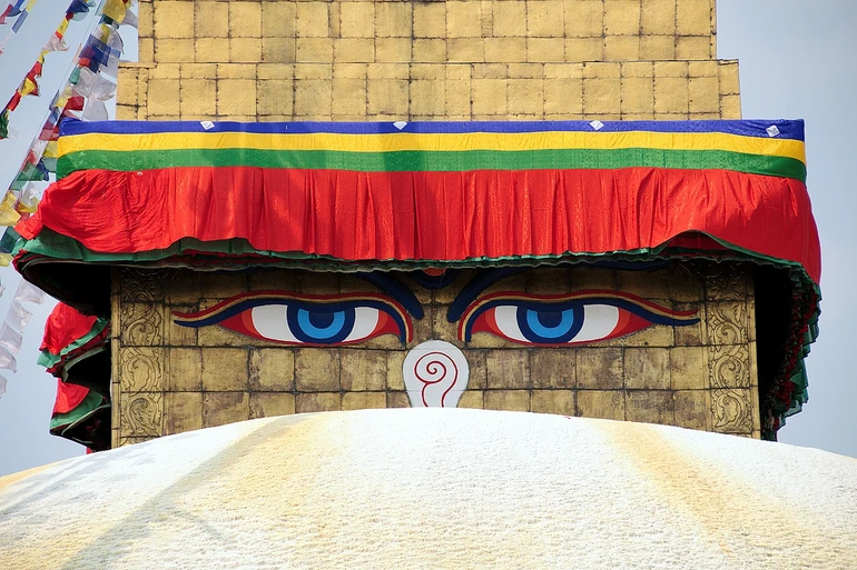 Vấn đề trợ tử