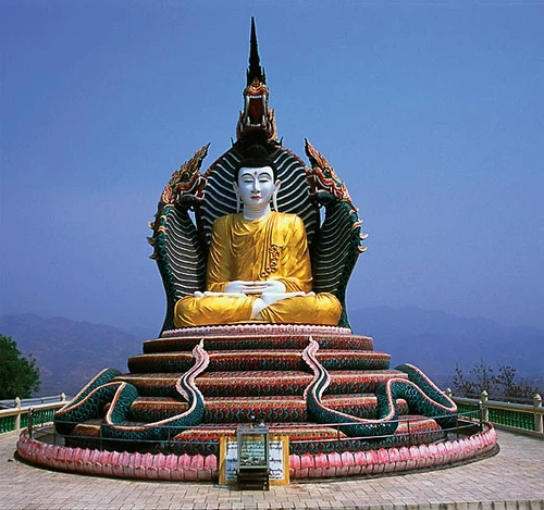 Năm Tỵ kể chuyện rắn