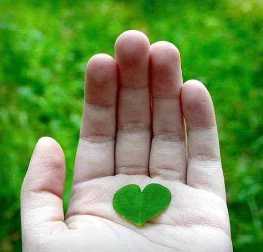 Vì trái tim là để yêu thương - Ảnh minh họa