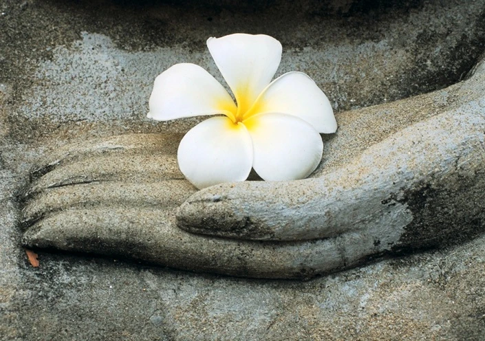 Phước đức vô lượng