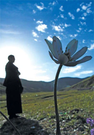 Thân người khó được