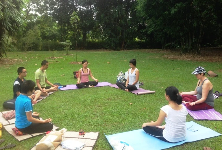 Mong rằng các chùa tổ chức thêm các lớp học Phật, các buổi tu tập cho Phật tử tham gia.