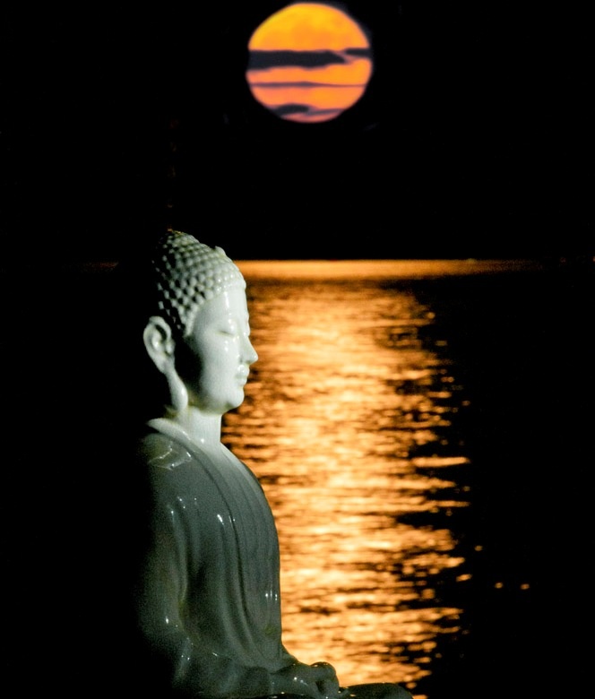 Ác tri thức - Gần mực thì đen