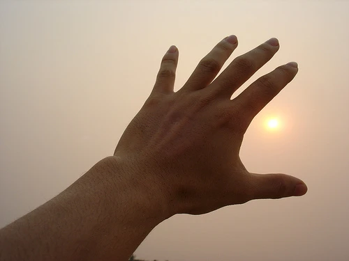 Càng lắm ham muốn thì càng nhiều khổ đau...