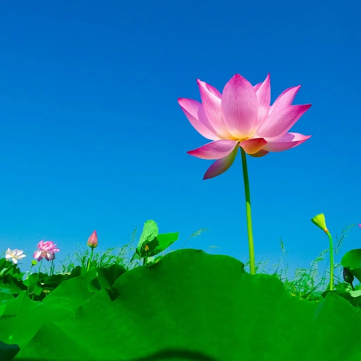 Tôi đã thấy và biết