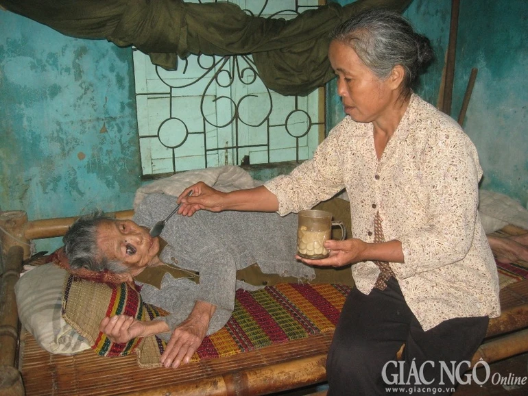 Chị Phạm Thị Mến chăm sóc cụ Quy