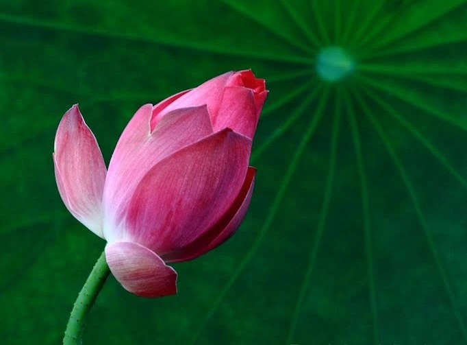 Dạy trẻ biết chia sẻ, để mầm yêu thương nẩy nở từng ngày - Ảnh minh họa