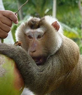 Lời cảnh tỉnh “Dính mắc tài vật thật là khó bỏ” của Thế Tôn xem ra vẫn là công án cho rất nhiều người.