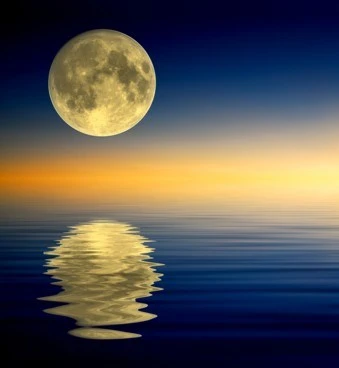 Trung đạo là hạnh tu thù thắng nhất