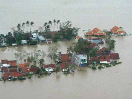 Ảnh sưu tầm từ internet