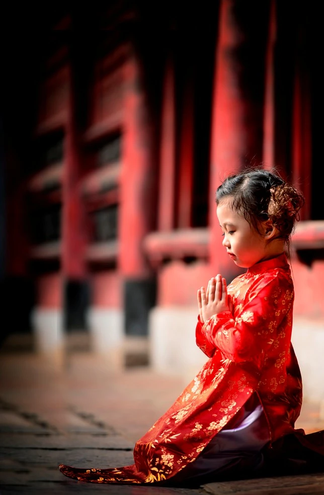 Hạt mầm từ bi - Ảnh minh họa