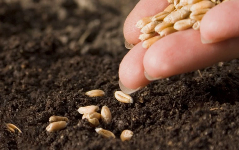 Tâm lý nghiệp cực kỳ quan trọng, đó là lý do vì sao việc tuân thủ đạo đức...