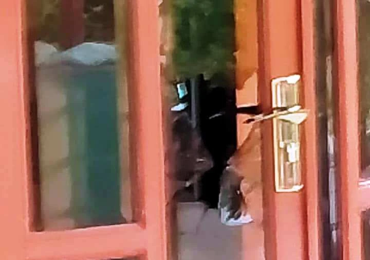 3 kẻ gian đã phá cửa kính nơi cô Q. trốn, đánh đập và giở trò đồi bại với tiểu Ni 19 tuổi