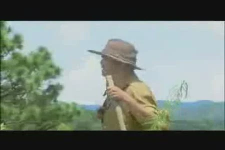 Chợt tỉnh cơn mê