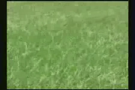 Gieo gió gặt bão