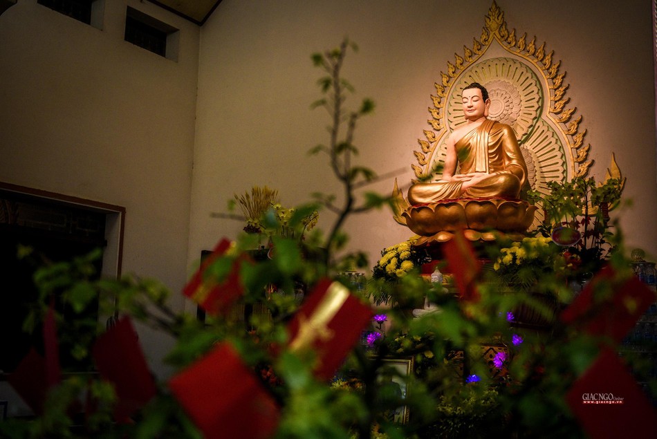 Sau khi chiêm bái xá-lợi, Phật tử tiến hành hái hoa chánh pháp, luận đạo và tụng kinh cho đến 5g30 sáng hôm sau mới kết thúc đêm Đầu đà