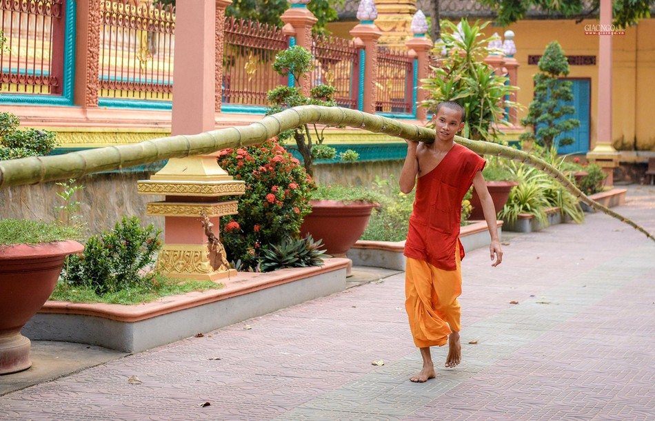 Những ngày trước Tết, chúng ta dễ bắt gặp hình ảnh các nhà sư dọn dẹp, sửa sang lại khuôn viên của ngôi chùa như treo cờ, kết cổng chào, trang trí sân khấu để rước chư Thiên. Các cây tre cao nhất sẽ được lựa chọn để treo cờ Phật giáo trước cổng chùa