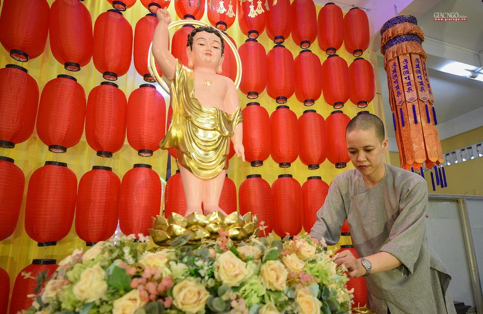 Vui thay chư Phật ra đời Vui thay chư Phật ra đời