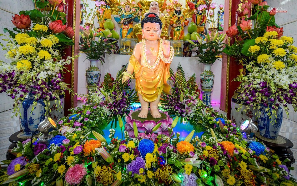 Tôn tượng Thái tử Tất-đạt-đa đản sanh lung linh tại chùa Thiên Trường Tôn tượng Thái tử Tất-đạt-đa đản sanh lung linh tại chùa Thiên Trường