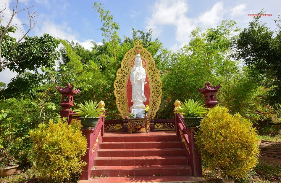 Khuôn viên chùa cũng được thiết trí nhiều cây xanh và tượng Phật, tạo nên một không gian tâm linh thanh tịnh khi đến thăm