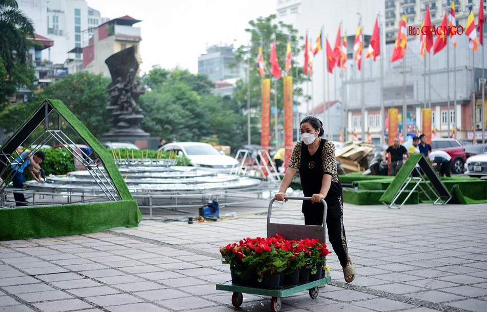 Trang trí hoa Trang trí hoa