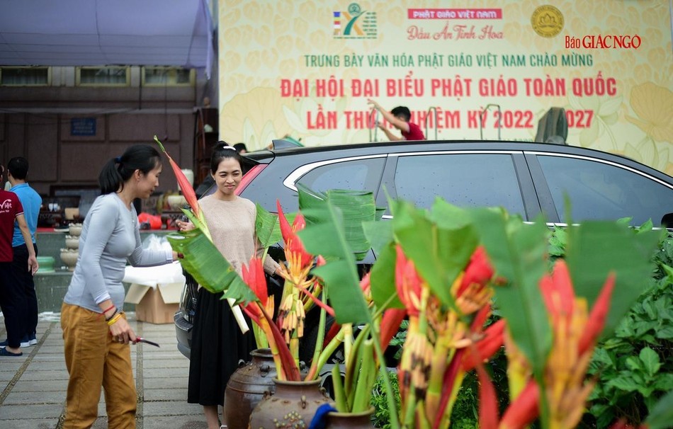 Cắm hoa trang trí Cắm hoa trang trí