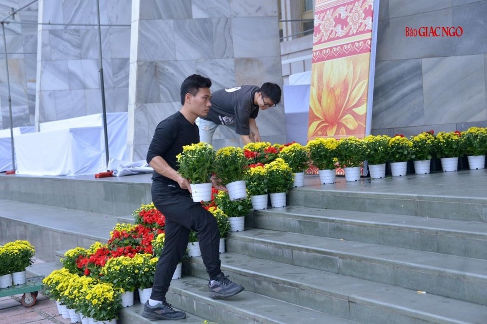 Bố trí các chậu hoa trước lối ra vào Bố trí các chậu hoa trước lối ra vào