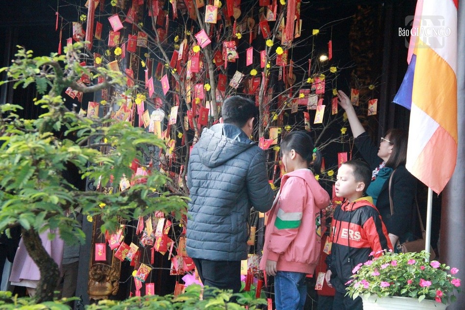 Hái lộc đầu xuân