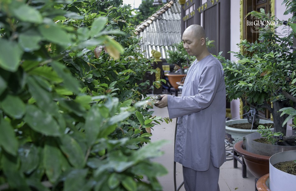 Việc này góp phần tạo thêm nhiều phước lành cho mỗi hành giả cũng như nâng cao sức khỏe của bản thân để hỗ trợ con đường tu học của mình