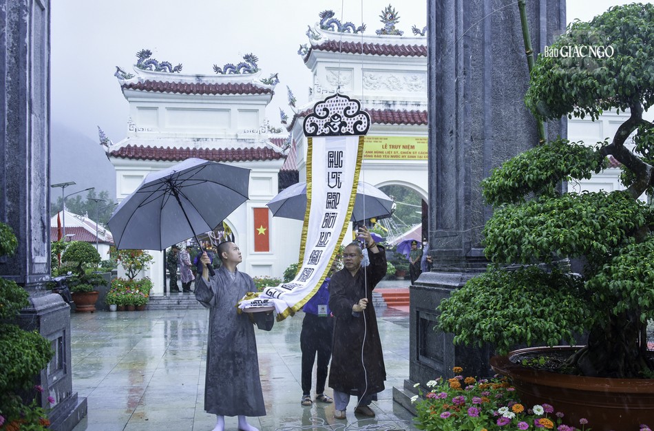 Thượng đại tràng phan