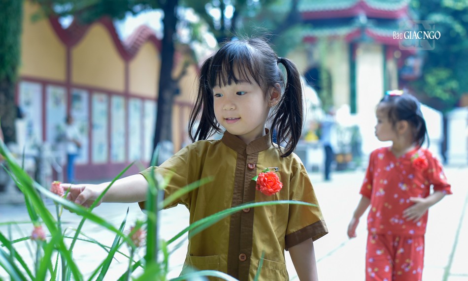 Hạt giống đó sau này có thể nảy nở thành một đóa hoa xinh đẹp, thiện lành