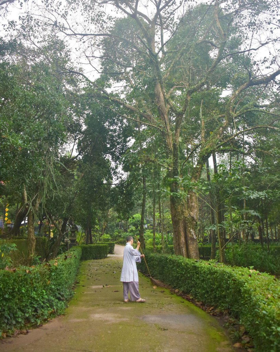 Từ sáng sớm, chư Tăng chùa Bảo Lâm đã thực hiện chấp tác, dọn dẹp khuôn viên chùa