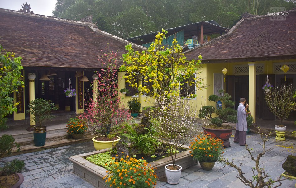 Một góc nhỏ chùa Bảo Lâm tràn ngập sắc hoa mai, đào, mận... những ngày cuối năm