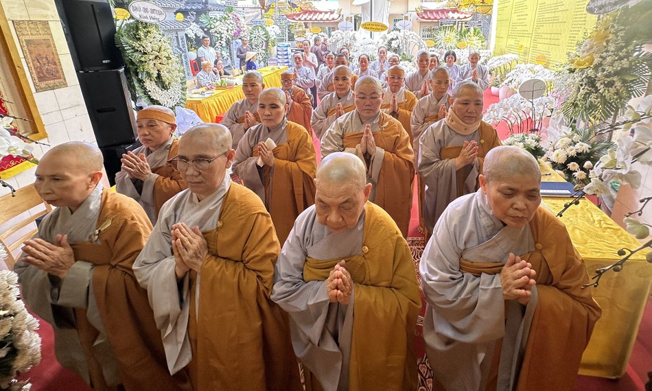 Phân ban Ni giới Q.4 Phân ban Ni giới Q.4