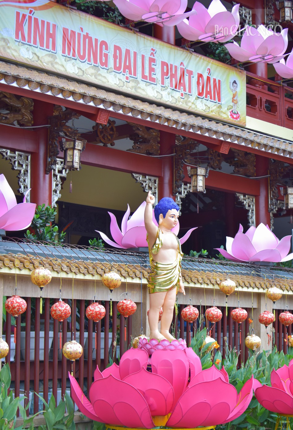 Việc trang trí Đại lễ Phật đản đã được chư Tăng, Phật tử chùa Pháp Hoa thực hiện từ rất sớm