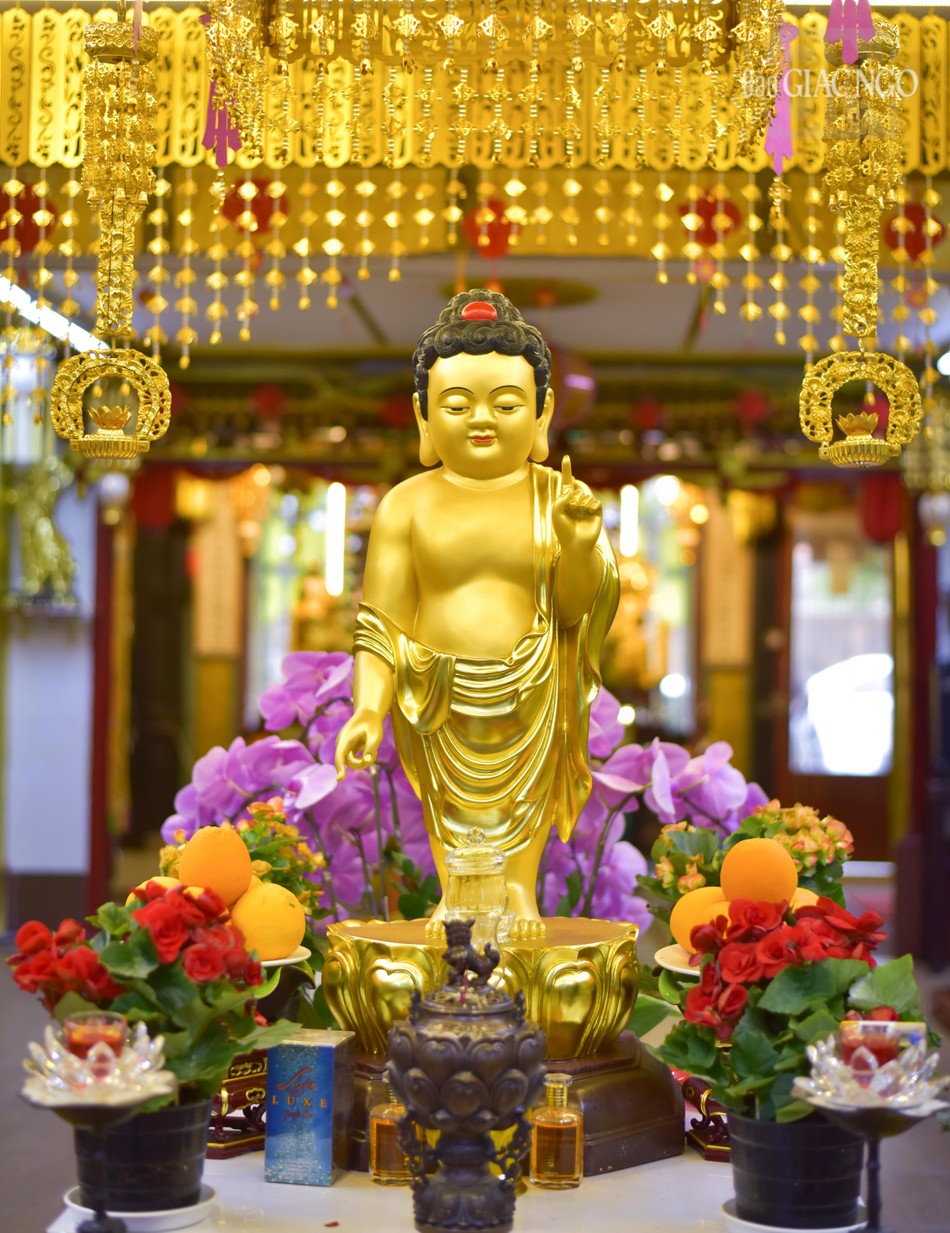 Tôn tượng Thái tử Tất-đạt-đa tại chùa Đức Quang (P.13, Q.4)