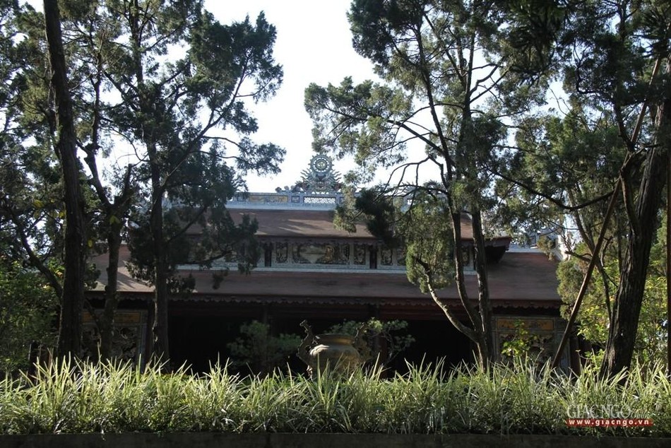 Ẩn mình trong thiên nhiên Ẩn mình trong thiên nhiên