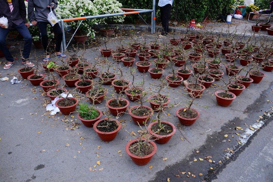 Nhiều điểm có người bán những vắng người mua