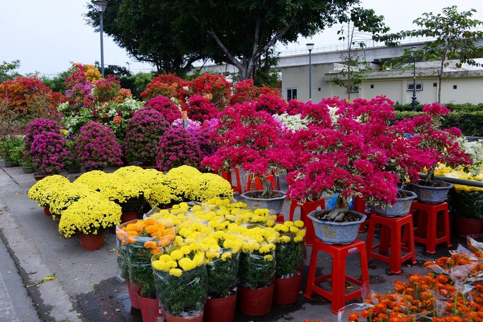 Hoa xuân vẫn khoe sắc