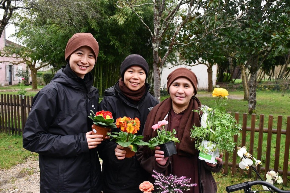 Làng Mai cũng là Viện Cao đẳng Phật học, nơi đào tạo các vị giáo thọ xuất gia và tại gia