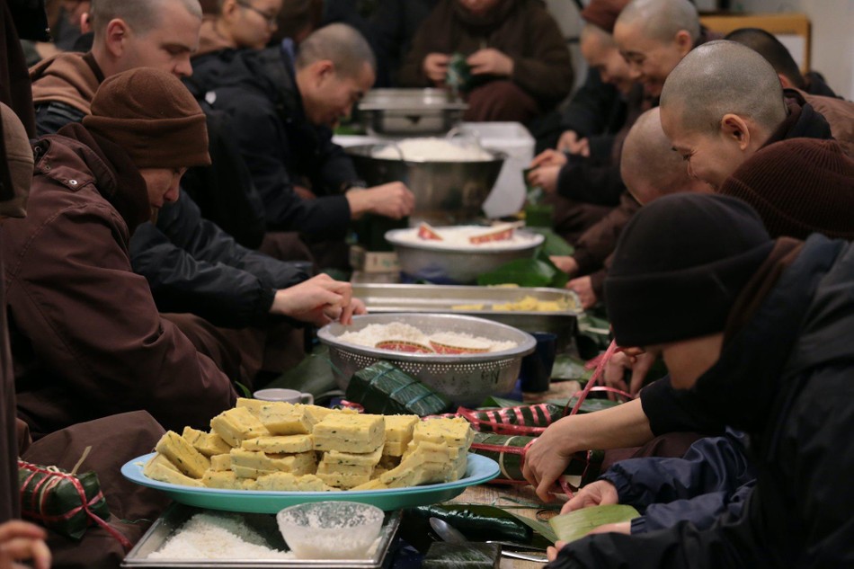 Ở đây trồng hơn cả ngàn cây mai