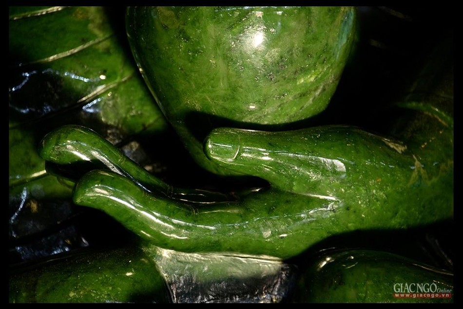 Tay trái trì bình Tay trái trì bình