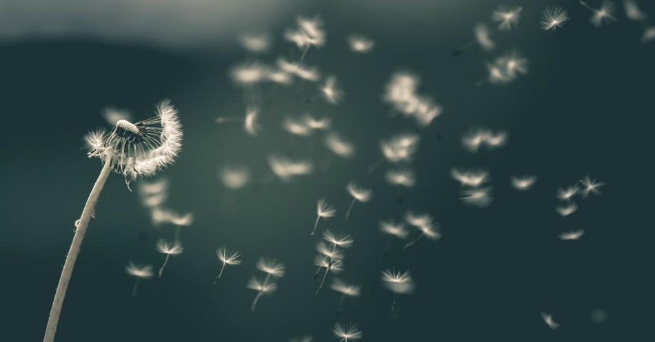 Do trực nhận được tính vô thường của đối tượng, hành giả giải phóng ý niệm bám víu và mong cho những gì mình yêu thích được vĩnh cửu, và kết quả là khổ đau, thất vọng, sầu muộn và sợ hãi được đoạn trừ hoàn toàn... Do trực nhận được tính vô thường của đối tượng, hành giả giải phóng ý niệm bám víu và mong cho những gì mình yêu thích được vĩnh cửu, và kết quả là khổ đau, thất vọng, sầu muộn và sợ hãi được đoạn trừ hoàn toàn...