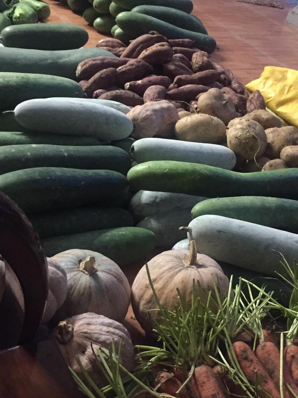 Nông sản các nơi được đưa về TP.HCM Nông sản các nơi được đưa về TP.HCM