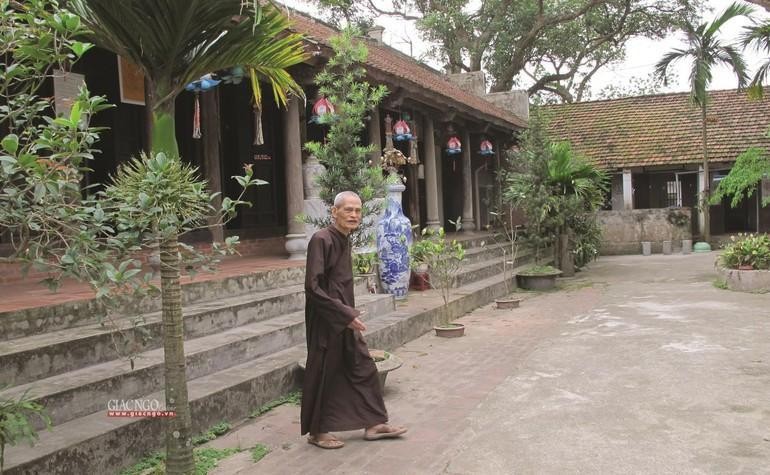 Dáng tùng vững chãi giữa tuyết sương... (ảnh do Nhuận Thường ghi nhận tại Tổ đình Viên Minh, 2013)