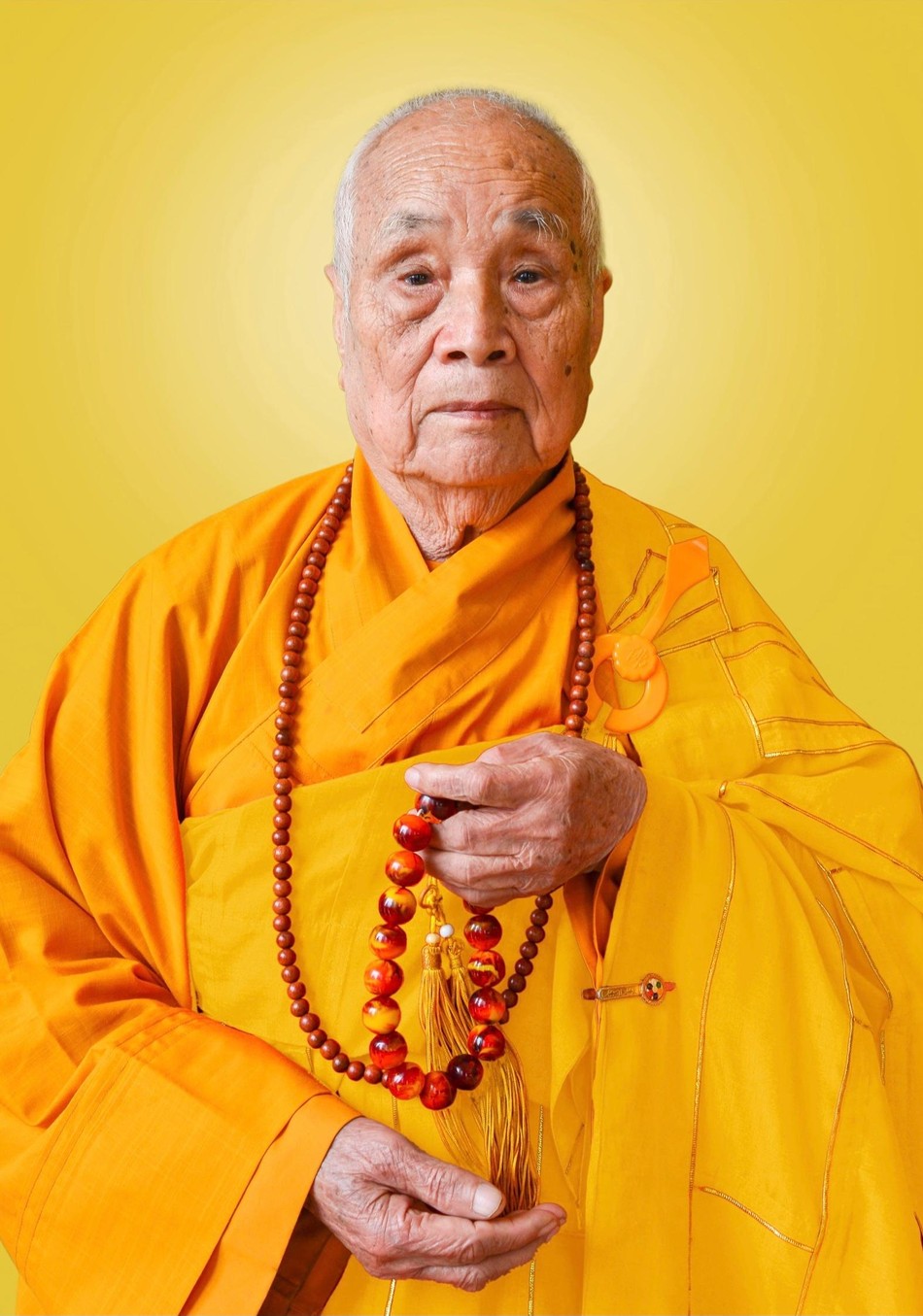 Chân dung Đại lão Hòa thượng Thích Thanh Đàm (1924-2022)